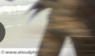 🙄😎☹😇 tweet media