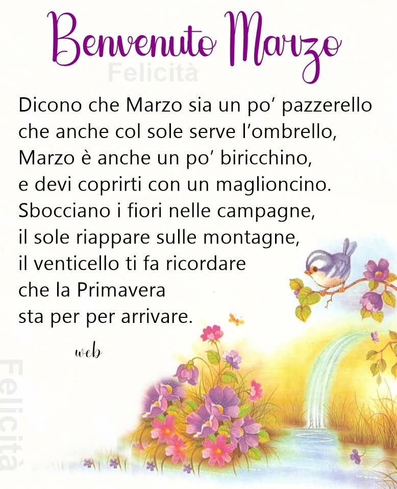 Daniela Golin (@daniela_go90642) on Twitter photo 