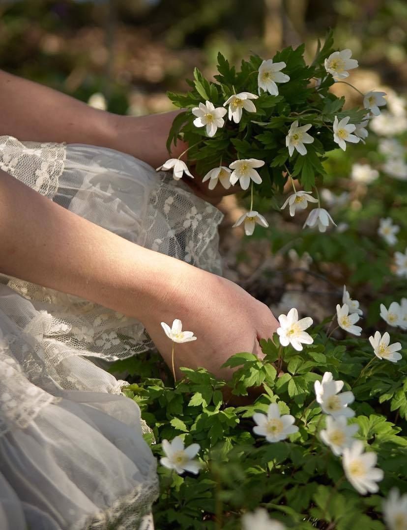 Vanize Lemos tweet media