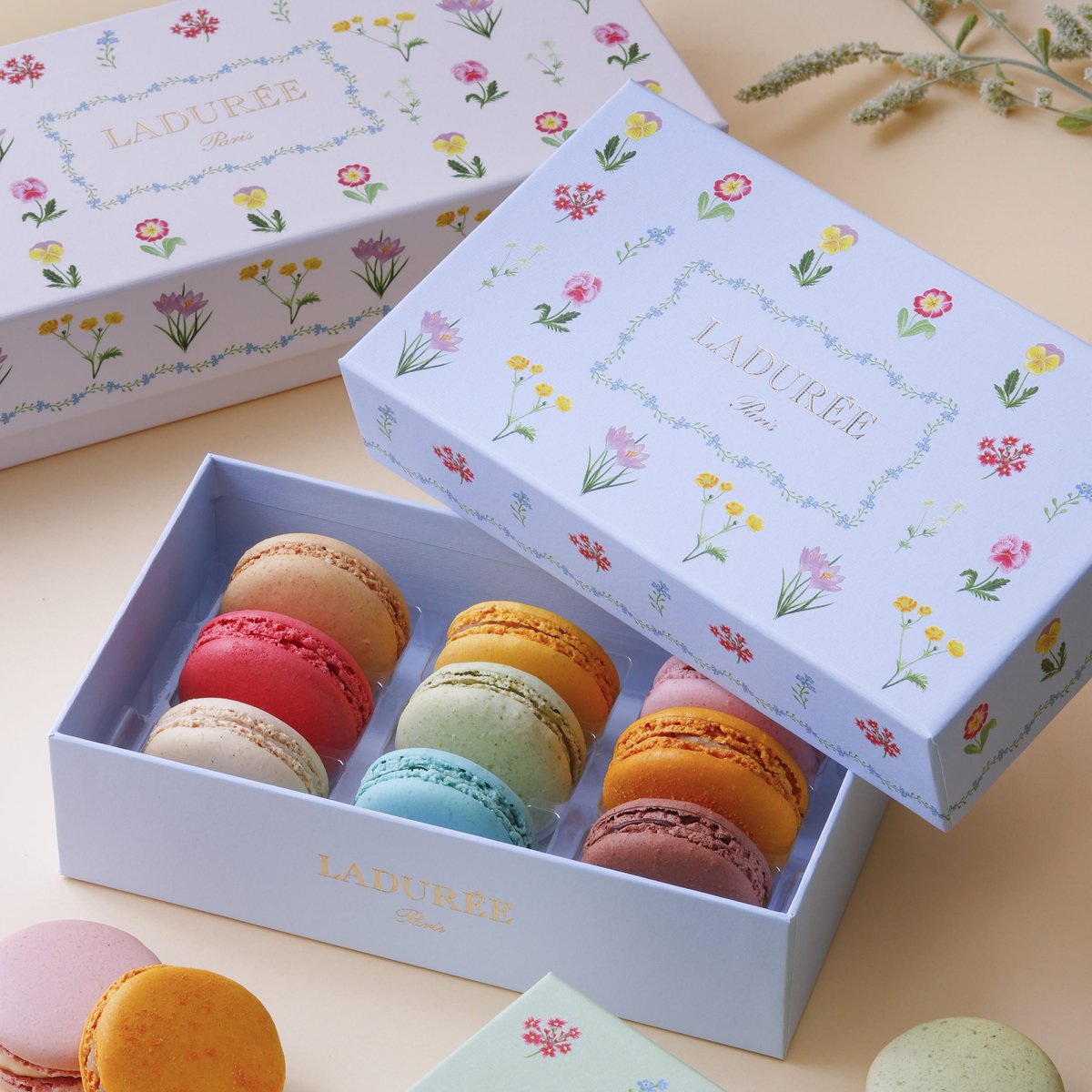 ♡グランスタ #Whiteday2026 ♡ 改札内 1F「ラデュレ」では