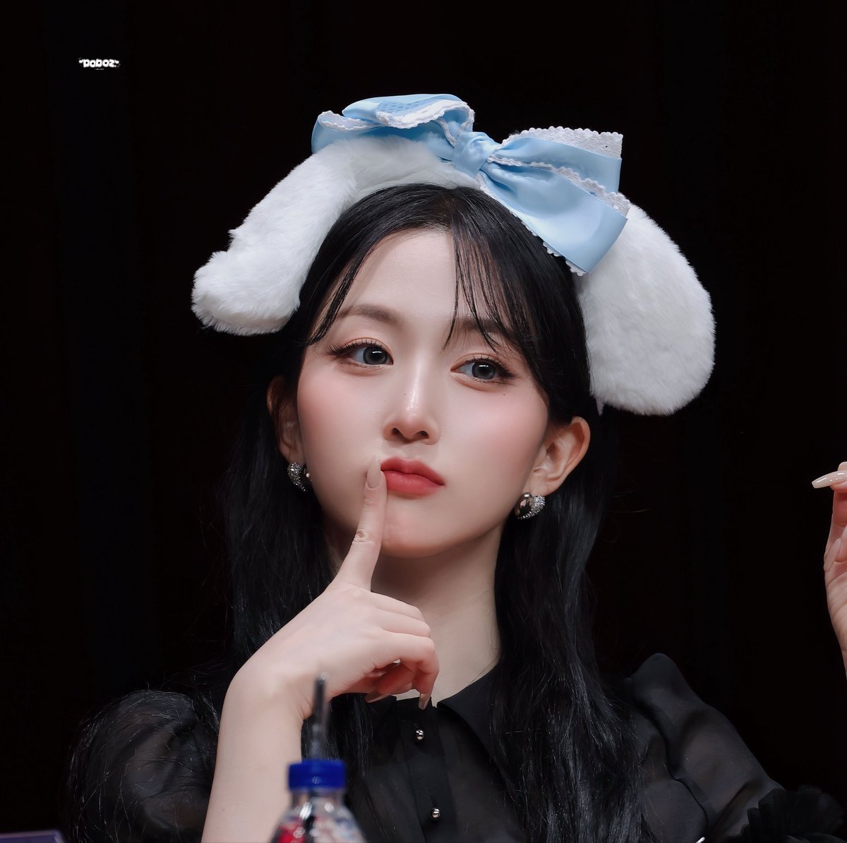 DODOZ🐾 도도즈 tweet media