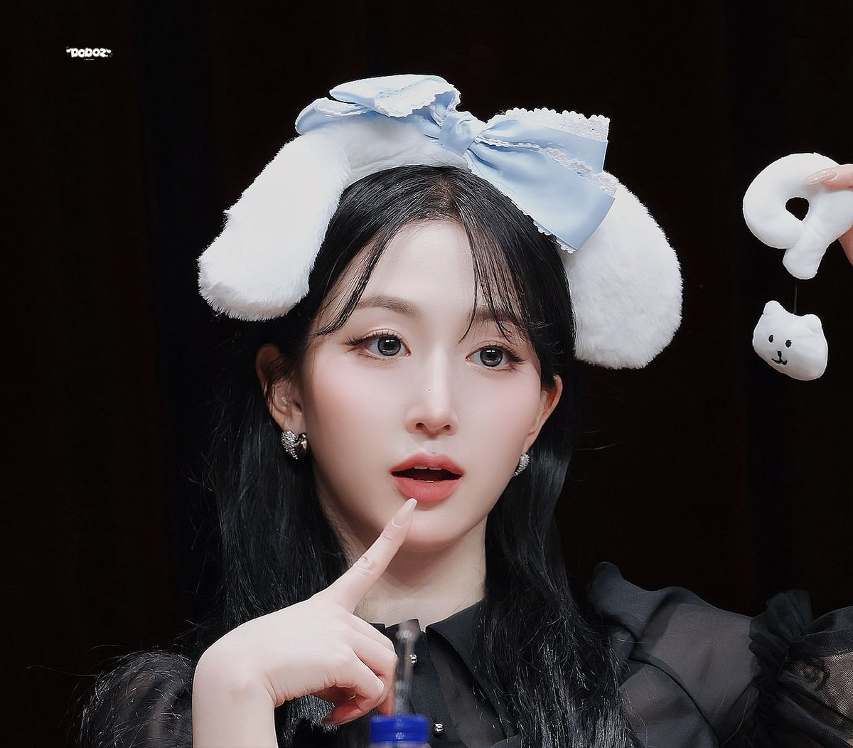 DODOZ🐾 도도즈 tweet media