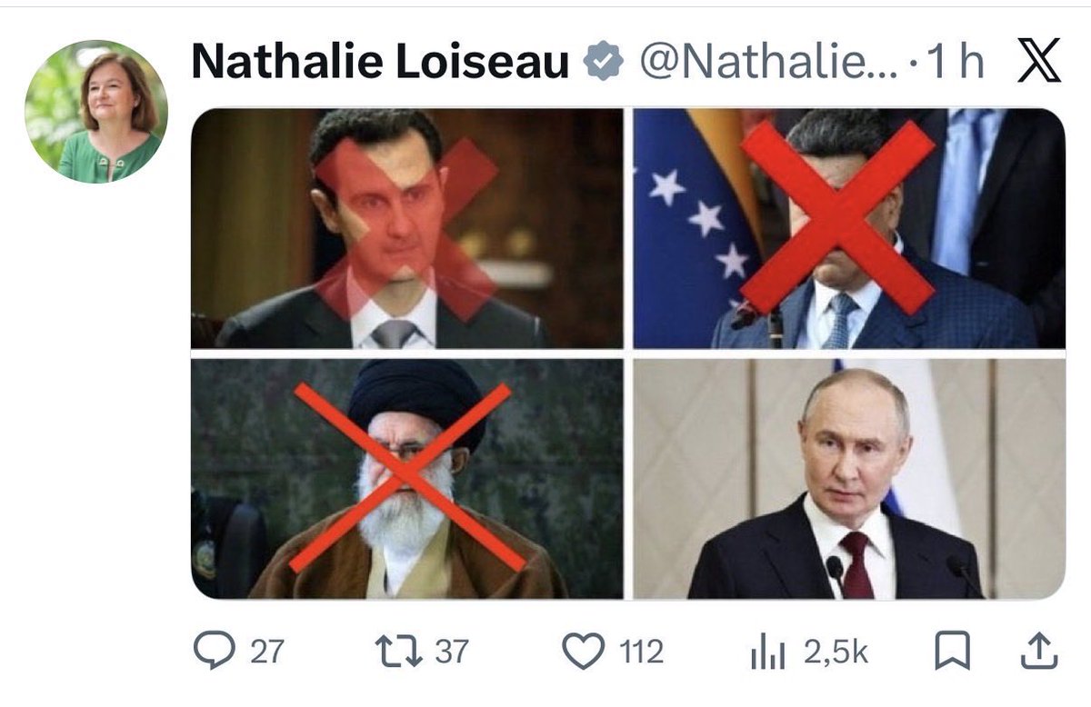 Rima Hassan tweet media