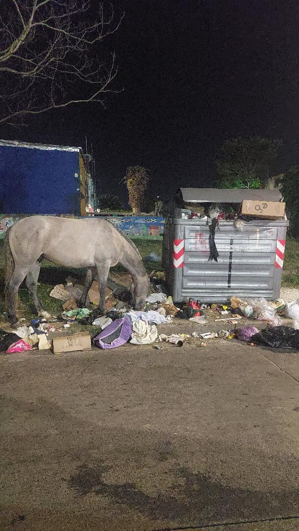 Obviamente, el problema son los monoambientes y Cuba. Mas bien.