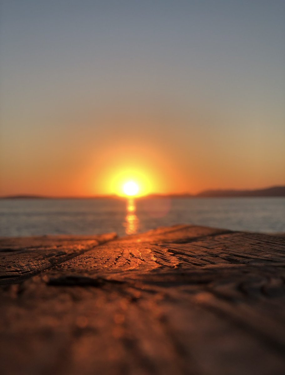 Carmen J. Stark tweet media