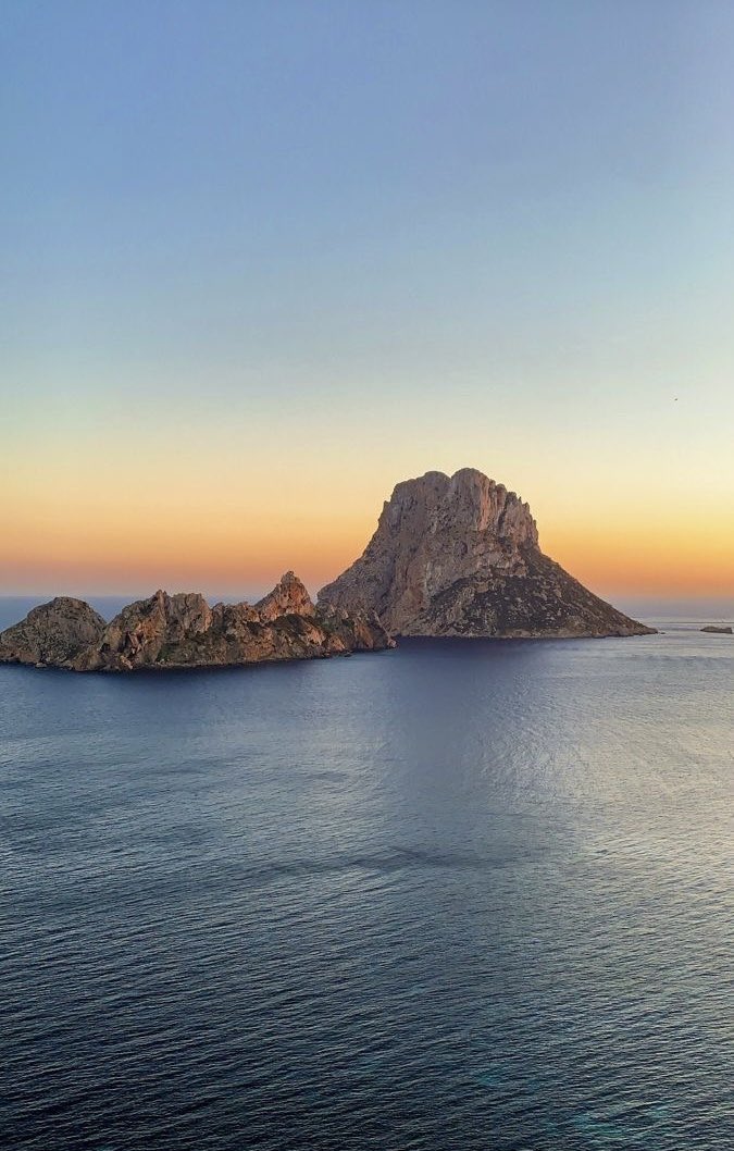 Carmen J. Stark tweet media