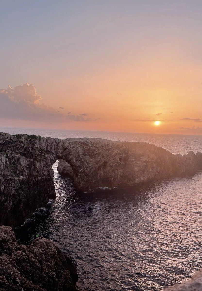 Carmen J. Stark tweet media