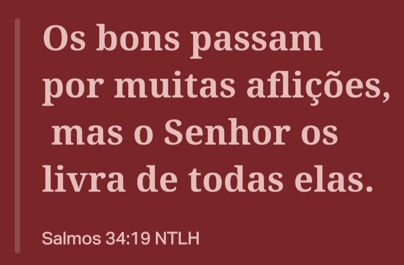 Cassio 🇧🇷🇧🇷🇧🇷 tweet media