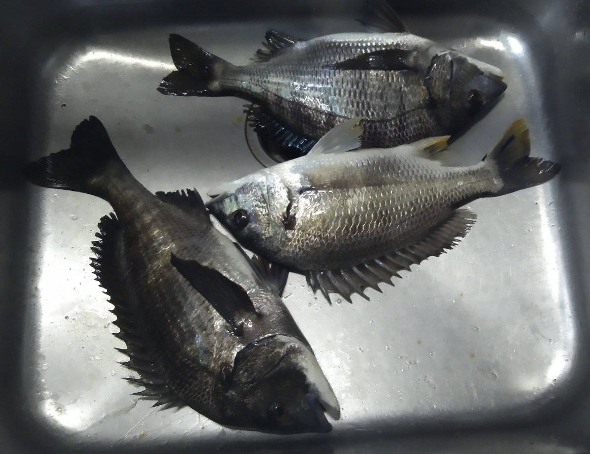 今朝も良い天候(^^) 今日は体験コースを含めて7組12名様がお見えになり