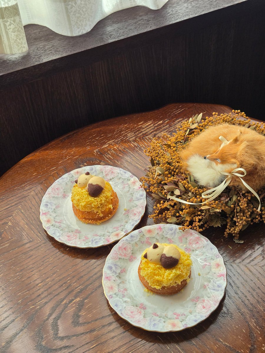 ミモザケーキ🦊💤