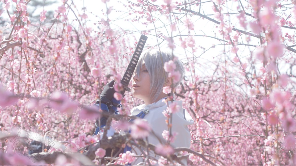 【コスプレ/cosplay】
山姥切長義/刀剣

本日の速報✨
梅綺麗でした。

photo:紅華