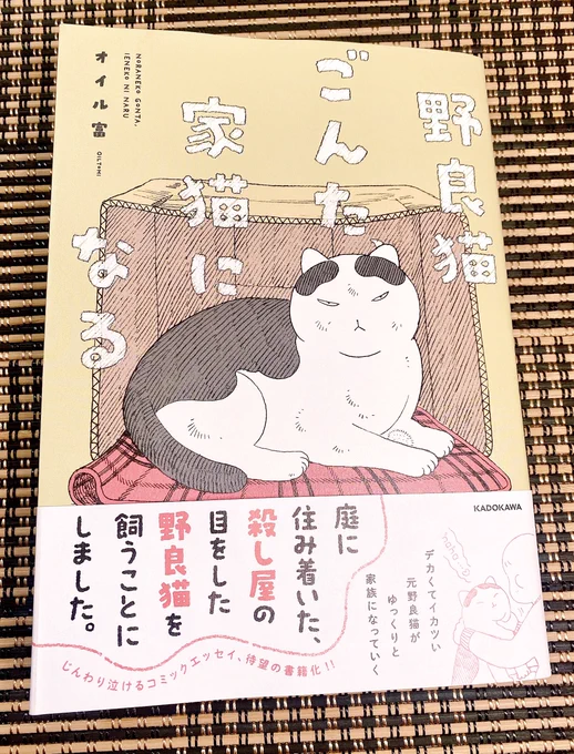 オイル富さんのごんたの漫画が大好きすぎて無事購入、やさしさとかわいさといやしとなみだが詰まった一冊だた…宝 