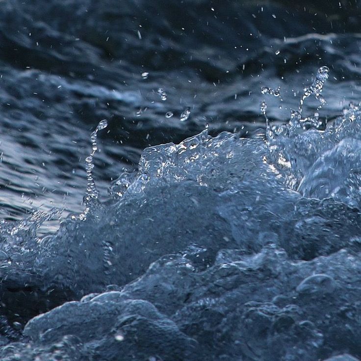 ocean (@hawsett4) on Twitter photo 