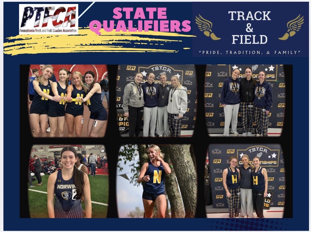 Norwin Track & Field tweet media