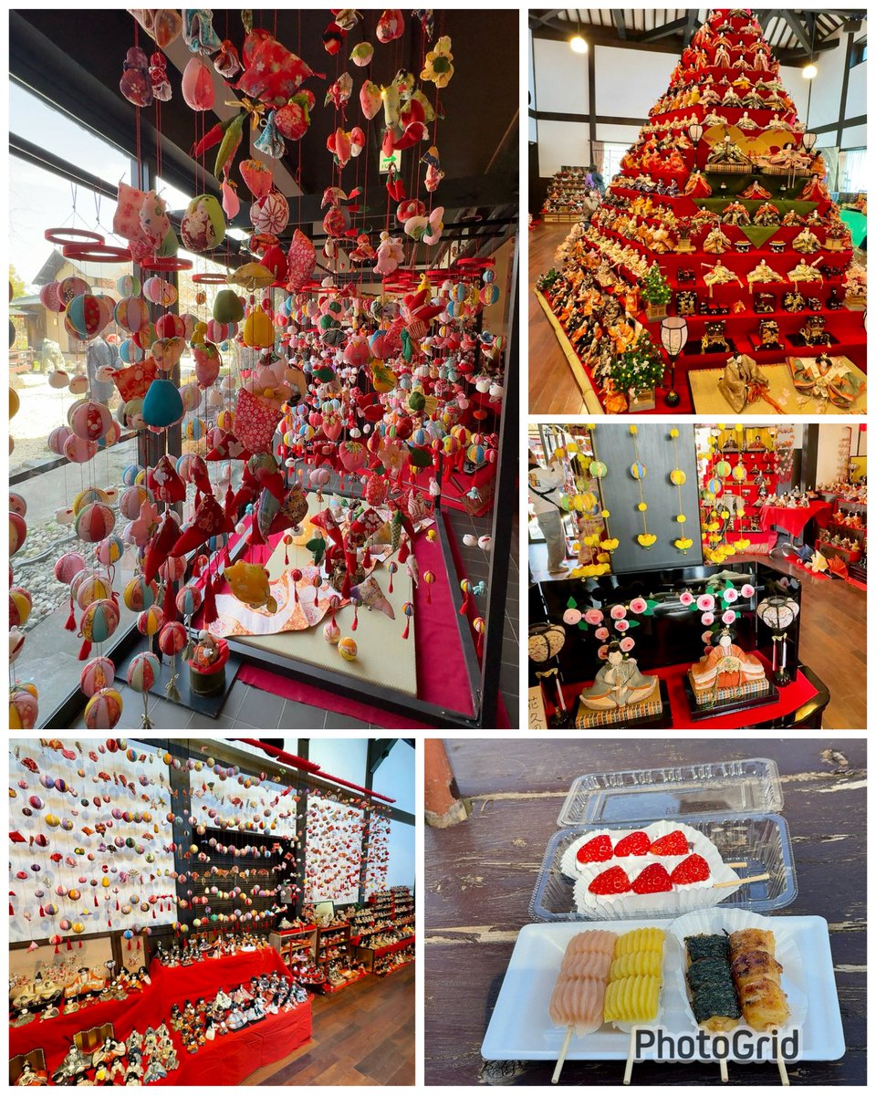 河津桜🌸からびっくりひな祭り🎎のサテライト会場に立ち寄りミモザの