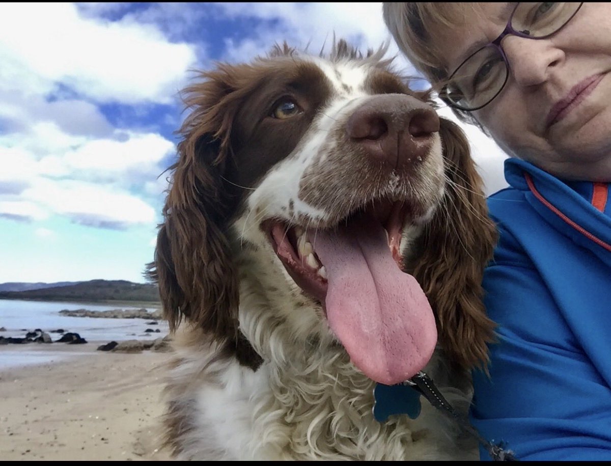 Margaret Patterson tweet media