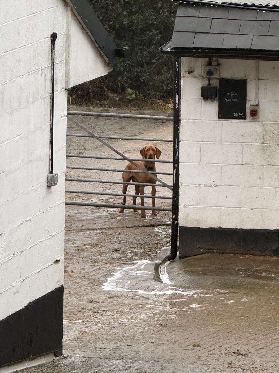 𝐊𝐞𝐫𝐫𝐲 𝐋𝐞𝐞 tweet media