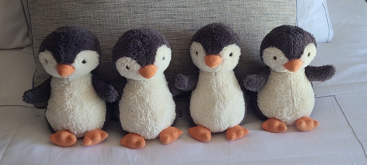 🏆XRP TO THE SUN🏆 tweet media