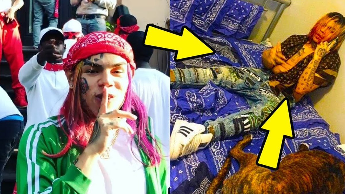 ploup  tweet media