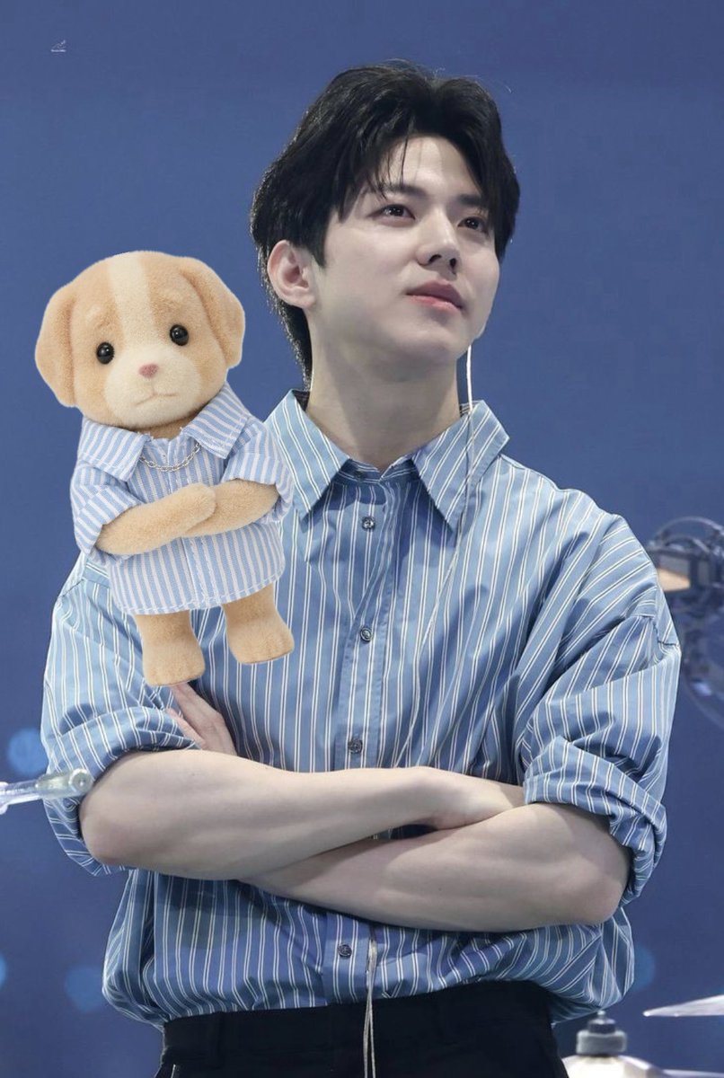 데이식스 전원 실바니안이 되거라