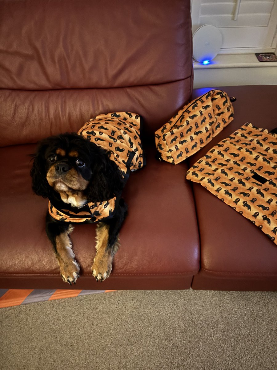 PhoebeDoo's tweet photo. Pals look at me #PLCouture loot, new bags wiv mini me on them, I will take them on me holibobs. And just see me matchy matchy coat made to measure, I luffs it. Its so soft and snuggly I’m even wearing it in me house. @LeahPaws Happy to be a #Trustedtester Fank yuu ❤️❤️❤️ https://t.co/6kKSx4M9wb