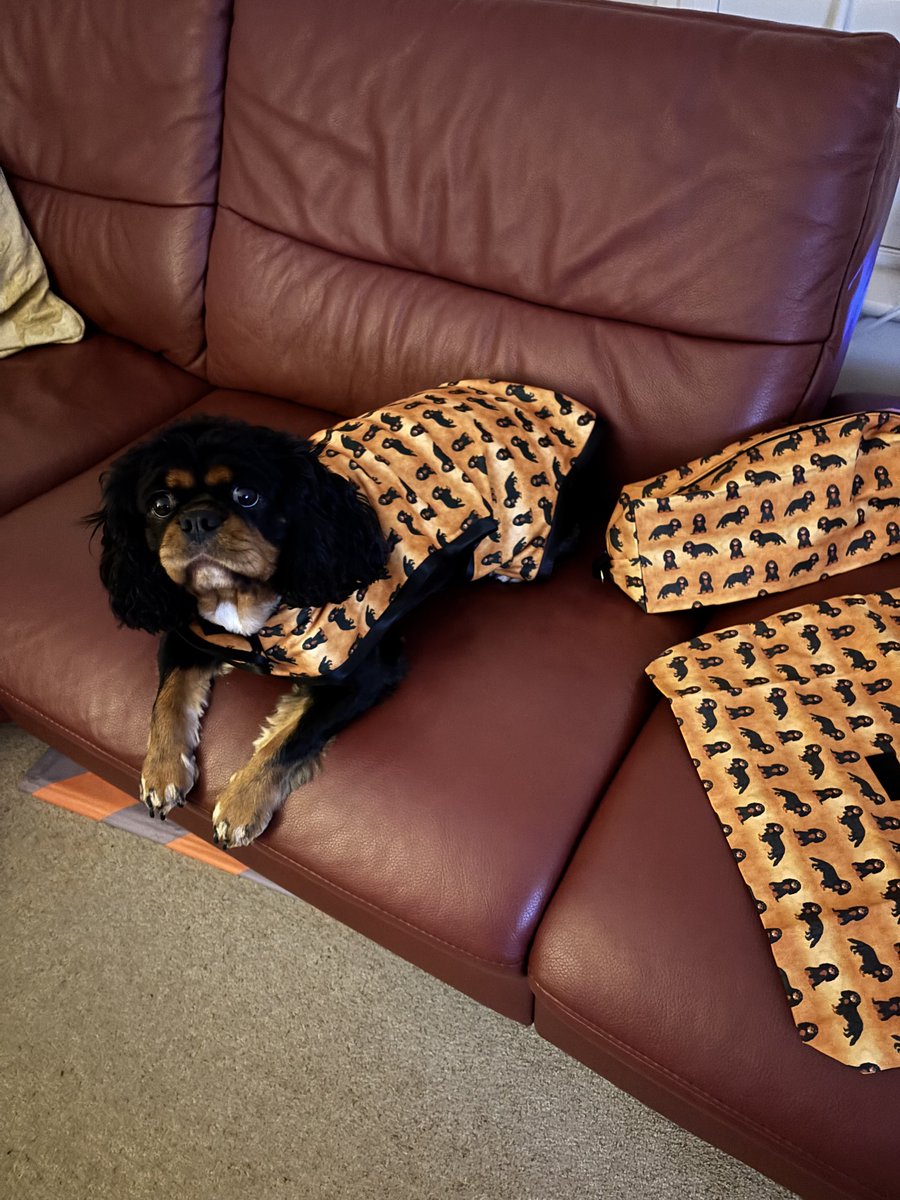 PhoebeDoo's tweet photo. Pals look at me #PLCouture loot, new bags wiv mini me on them, I will take them on me holibobs. And just see me matchy matchy coat made to measure, I luffs it. Its so soft and snuggly I’m even wearing it in me house. @LeahPaws Happy to be a #Trustedtester Fank yuu ❤️❤️❤️ https://t.co/6kKSx4M9wb
