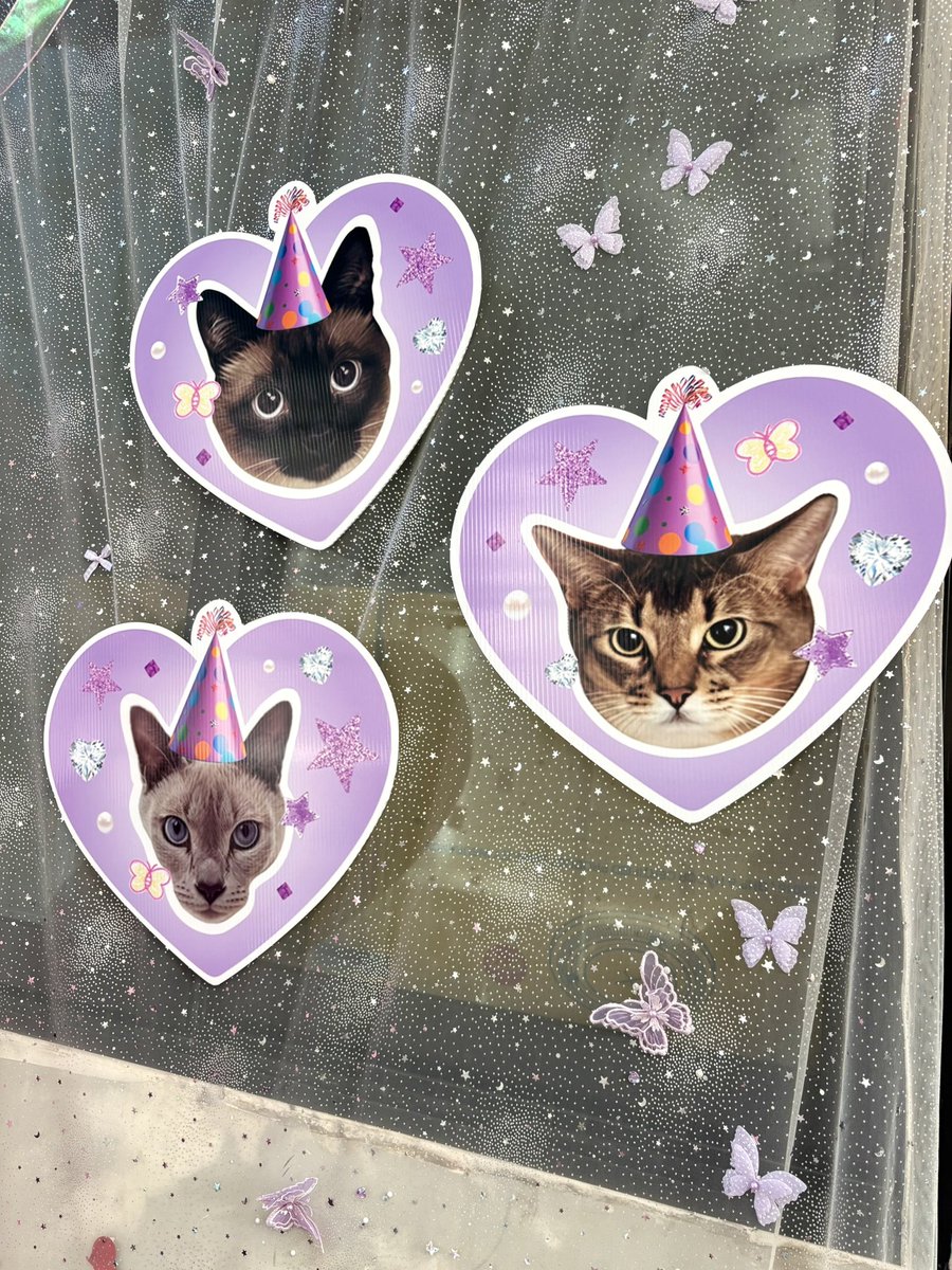 meowmoomi's tweet photo. 💟💖🫶🏻 #TENNIE30BDAY https://t.co/VaWfGdae19