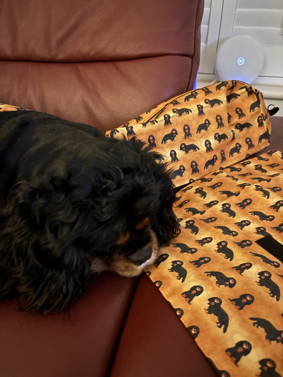 PhoebeDoo's tweet photo. Pals look at me #PLCouture loot, new bags wiv mini me on them, I will take them on me holibobs. And just see me matchy matchy coat made to measure, I luffs it. Its so soft and snuggly I’m even wearing it in me house. @LeahPaws Happy to be a #Trustedtester Fank yuu ❤️❤️❤️ https://t.co/6kKSx4M9wb