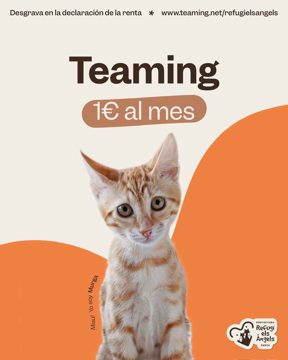 Refugi Els Àngels tweet media