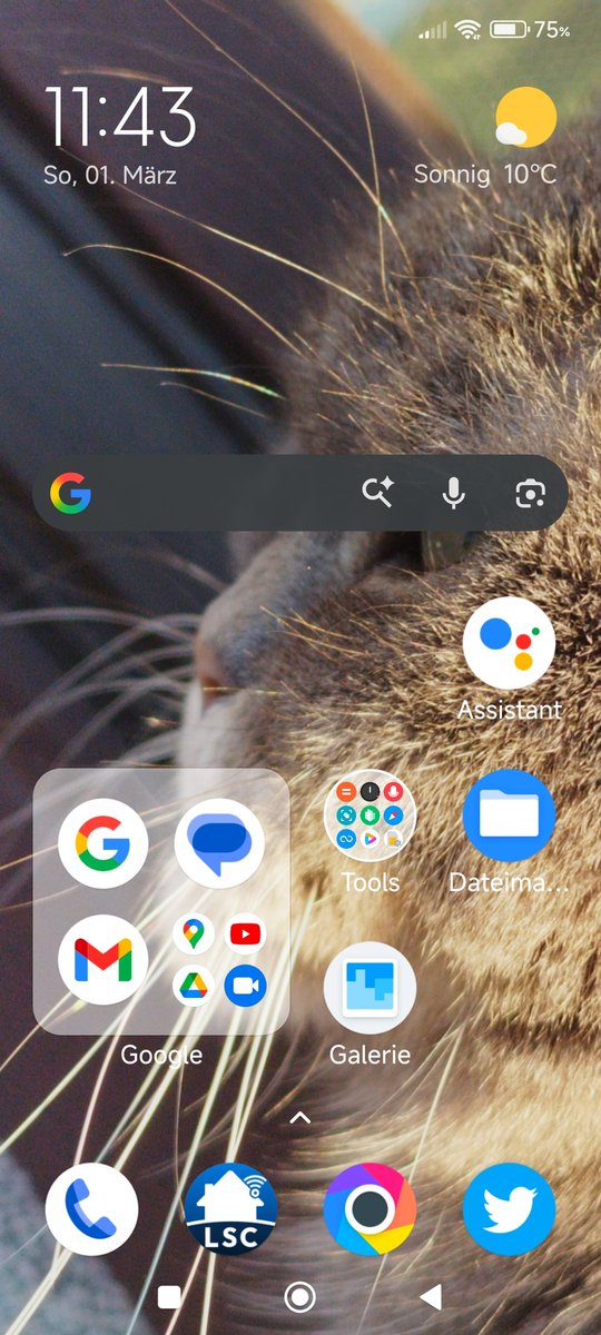 still have the bird icon