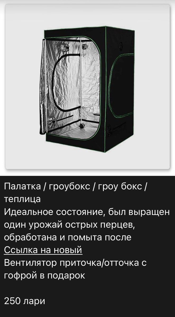 Репетитор грузинского языка 🇬🇪 tweet media