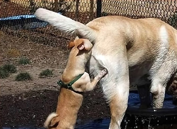 MontesErben's tweet image. 🤷