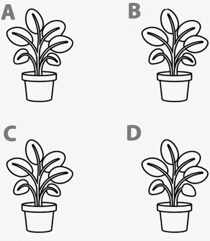 𝘽𝙧𝙚𝙖𝙠𝙏𝙝𝙚𝙎𝙞𝙡𝙤𝙨♪♪ tweet media