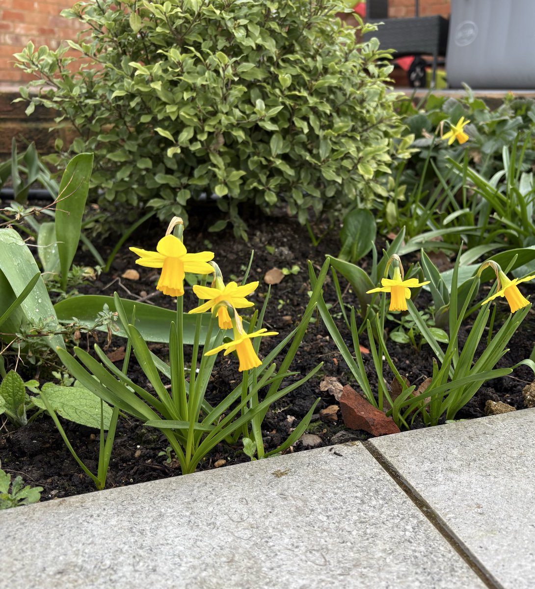 Jonathan Raymond tweet media