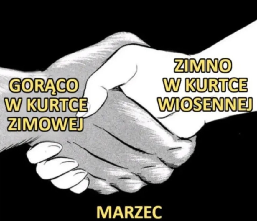 Bluealert tweet media