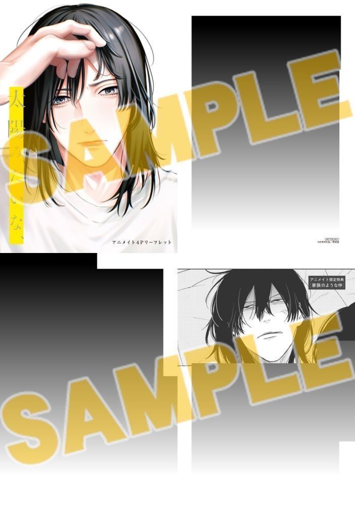 書籍】「太陽みたいな、(1) アニメイトセット」予約受付中📢☀️ 帳に