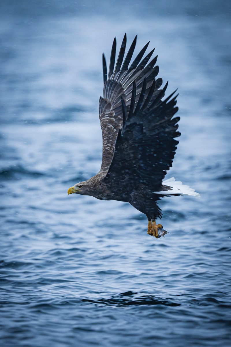 まいる tweet media