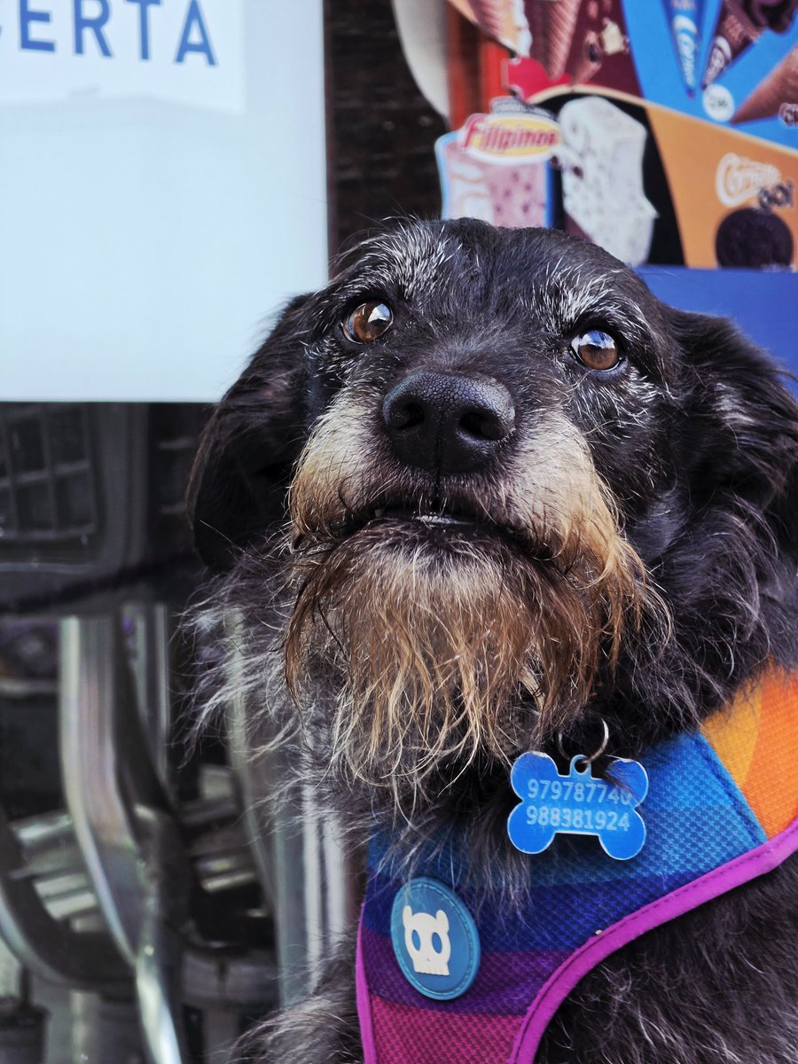 Some camera samples taken on the Barcelona streets, feat. Galaxy S26 Ultra.