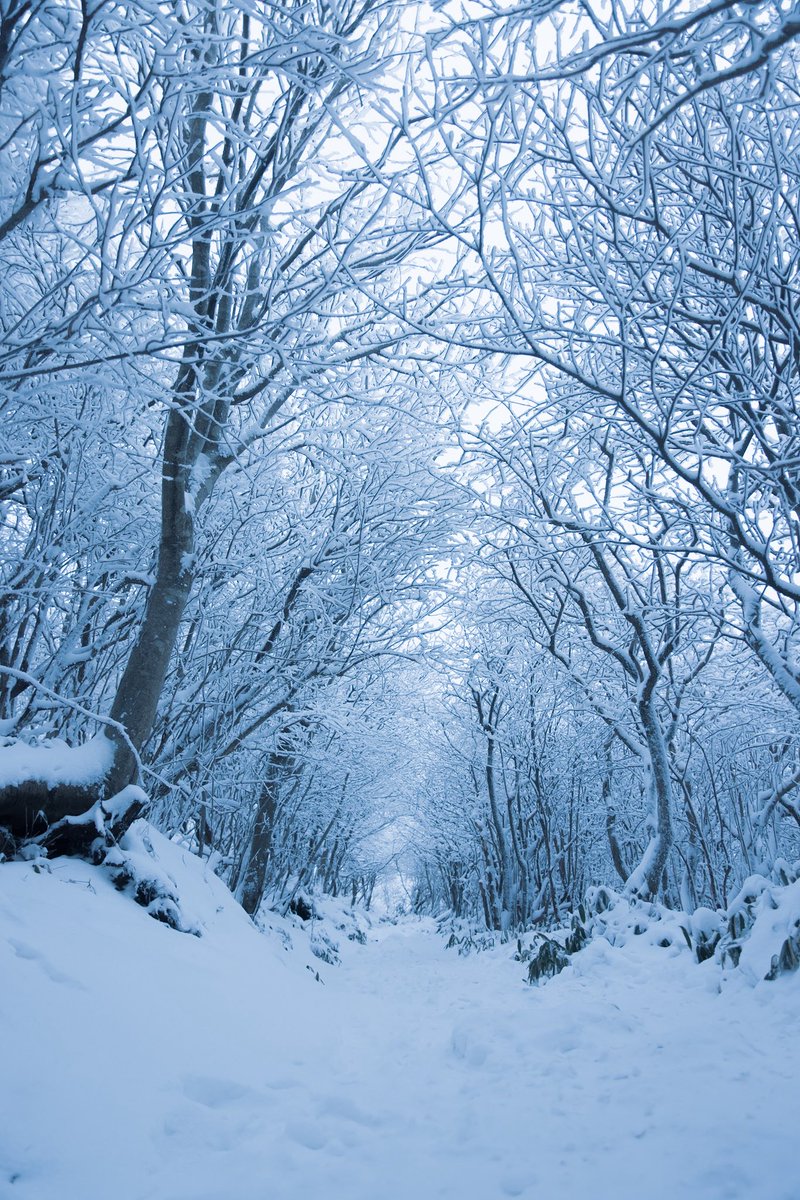 takenko5's tweet photo. 雪道 https://t.co/zPblRSDi9R