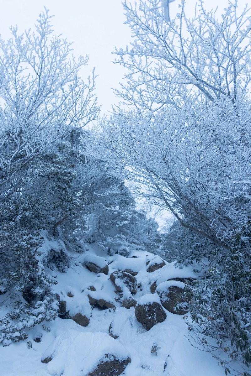 takenko5's tweet photo. 雪道 https://t.co/zPblRSDi9R