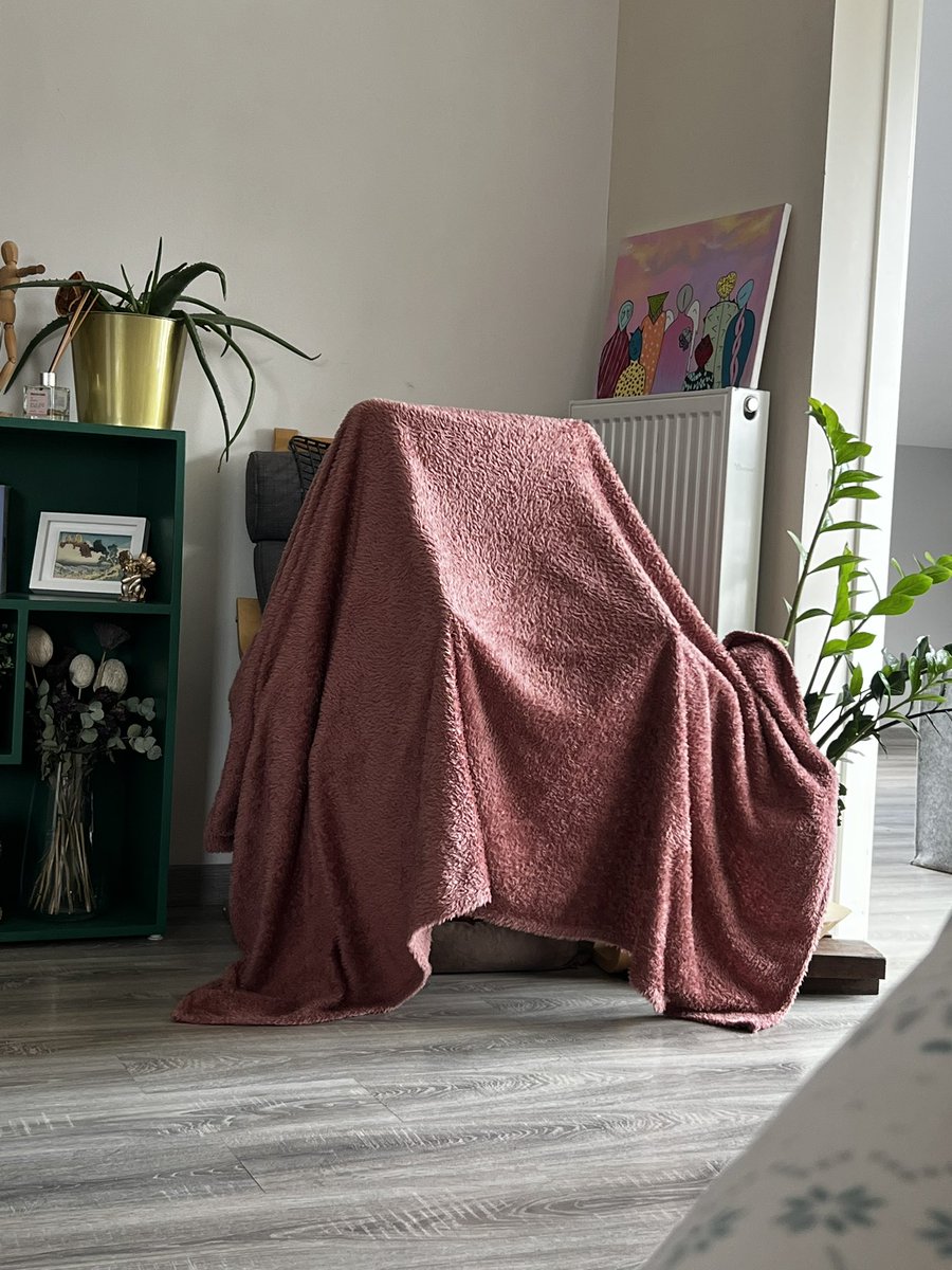 PCG bot ☀️🫎🦚 tweet media