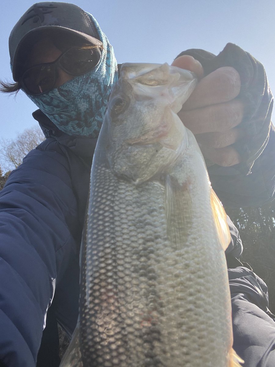 相模湖 day2 出撃報告忘れてた…🤣w 辛うじてレギュラーサイズ2本 33.38