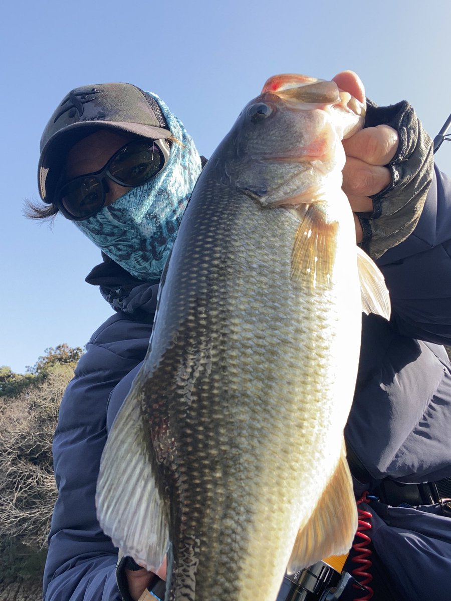 相模湖 day2 出撃報告忘れてた…🤣w 辛うじてレギュラーサイズ2本 33.38