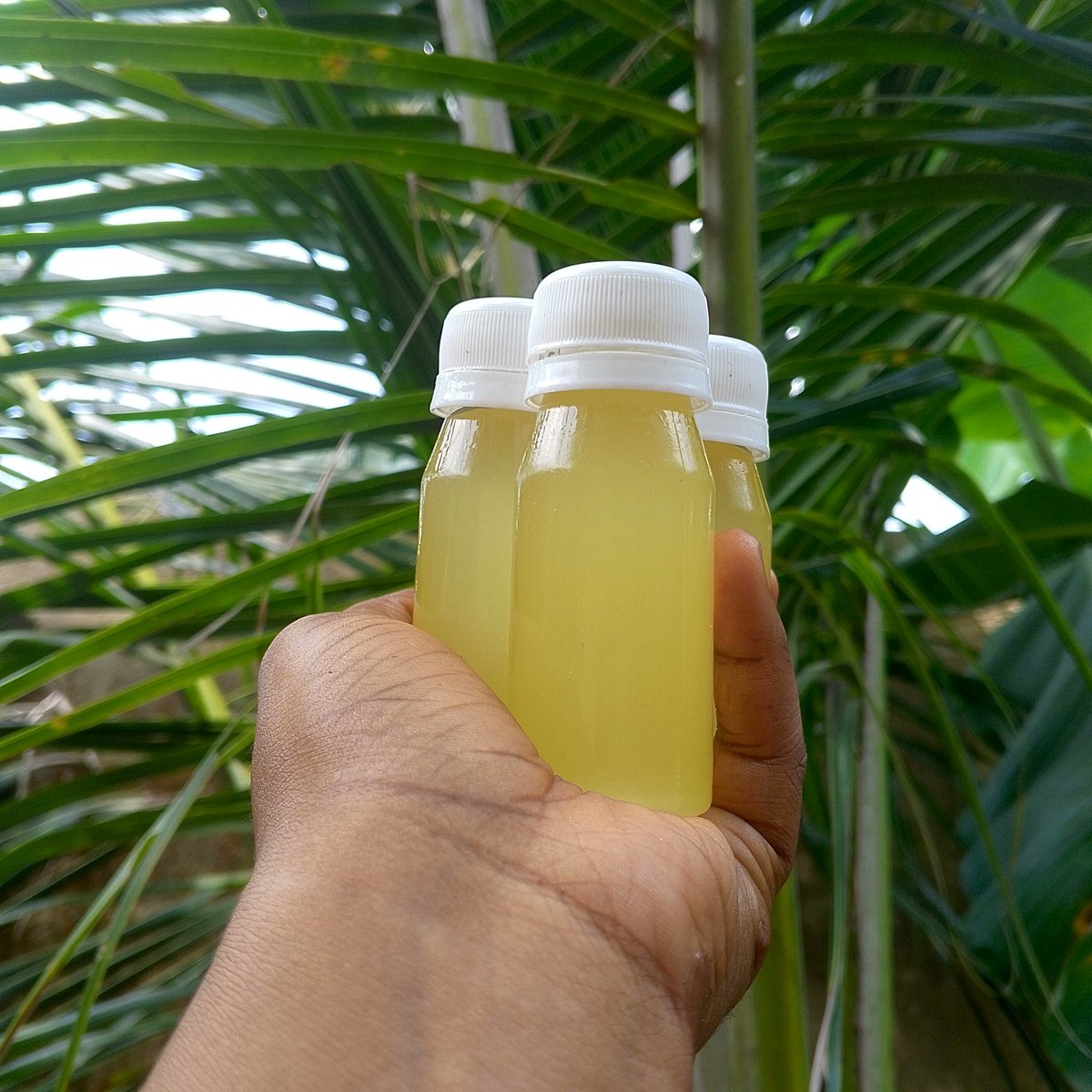 InemNya's tweet photo. Whether you need it for your skin, your hair,or even as a smooth lubricant,this is the only bottle you need in your bag.✅Deep Moisturizer ✅Hair Glow-up ✅Silky Lubricant ✅Travel-sized/Pocket-friendly. Available in 50mil for just 2500 naira #SkincareSecrets #MultiPurposeOil https://t.co/OIscDSwzae