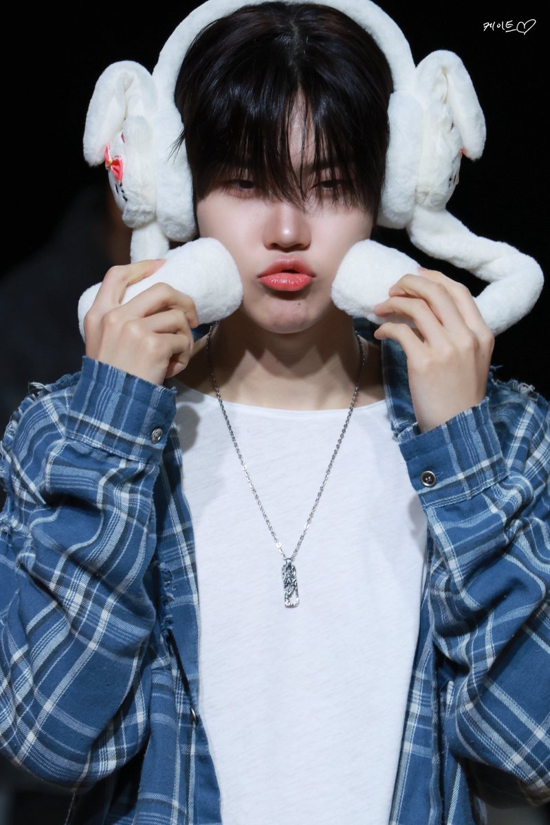 케이트🦊🐿️ tweet media