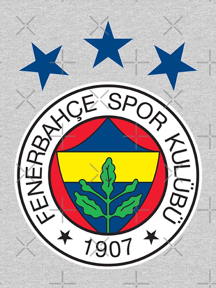 Oyuncuların yarısında 5 yıldız var yarısında yok
Bunları geçtim bir tanesinde legal olan 3 yıldız yok
Fenerbahçe İllegal spor kulübü
