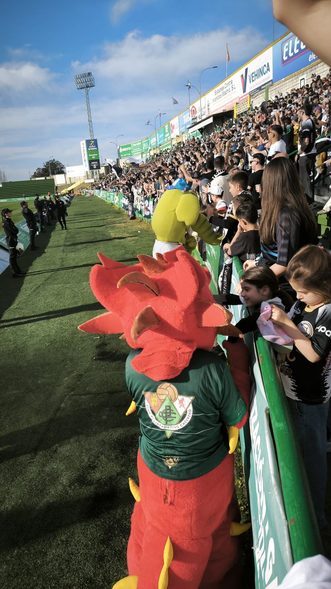caecobashi's tweet photo. Ayer  @dragoncitocpc  y @OficialEcotin  disfrutaron juntos de una buena previa en Cáceres con las dos aficiones que se lo pasaron en grande , enhorabuena a las dos mascotas ,y aprovecho para animar a las mascotas de otros clubes ,podemos hacer cosas bonitas ,reposteen por fi 😊 https://t.co/pWNRth346K
