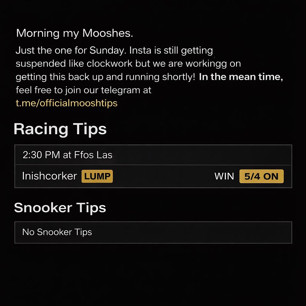 Dont join Moosh Tips tweet media