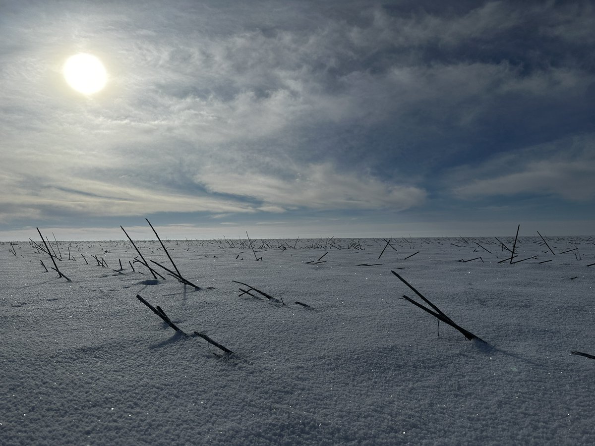 Dimko Zhluktenko 🇺🇦⚔️ tweet media