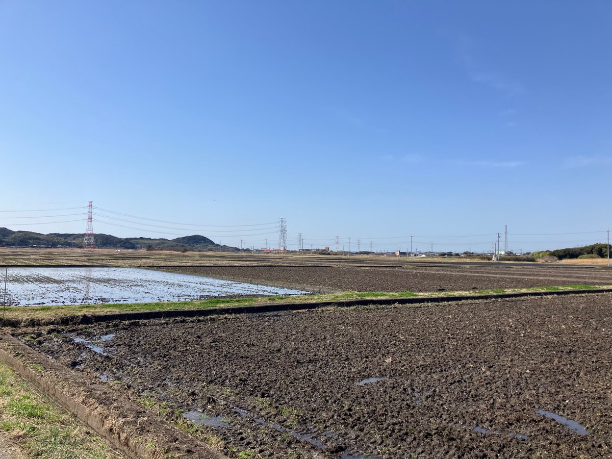 今年も始まった。
